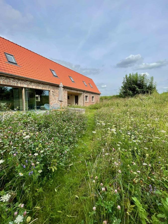 Vakantiewoning Nachtegael - Zomerhuis Kluisbergen Buitenkant foto